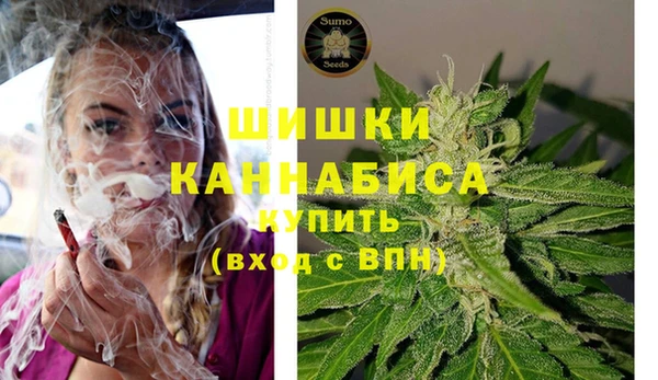 спиды Волосово