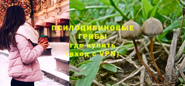 первитин Верея